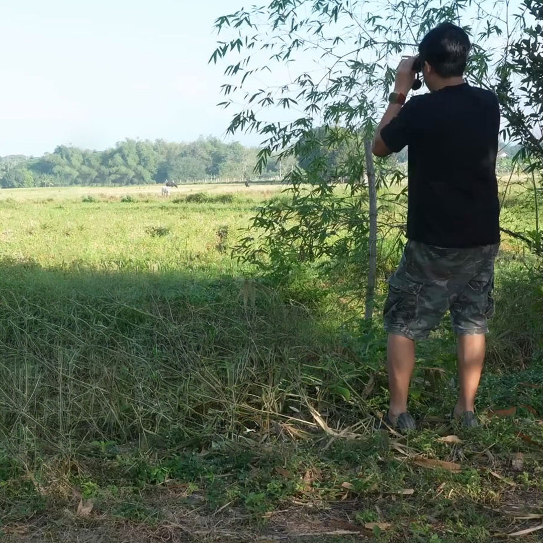 A Beginner’s Guide to Birdwatching with Binoculars – siruisportoptic